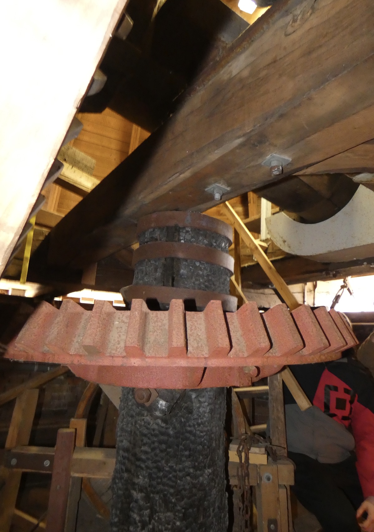 Primer plano de la corona dentada de hierro fundido