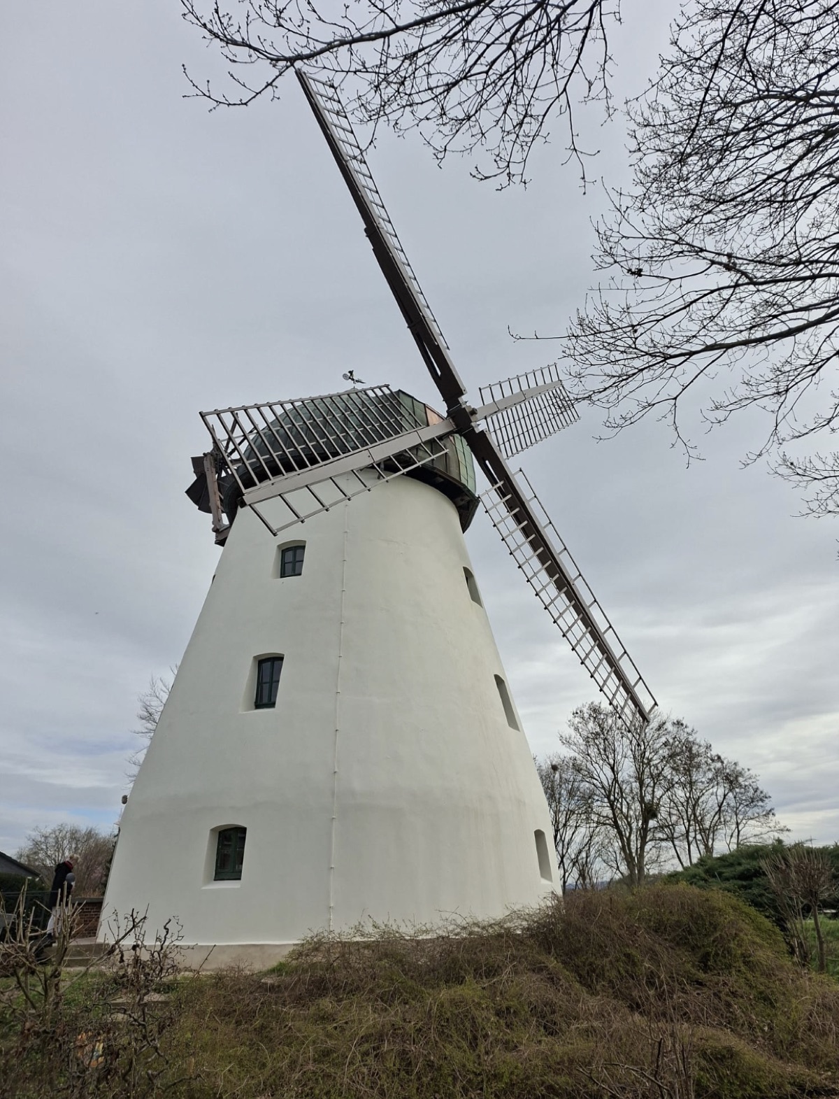 El molino de Tündern visto desde abajo