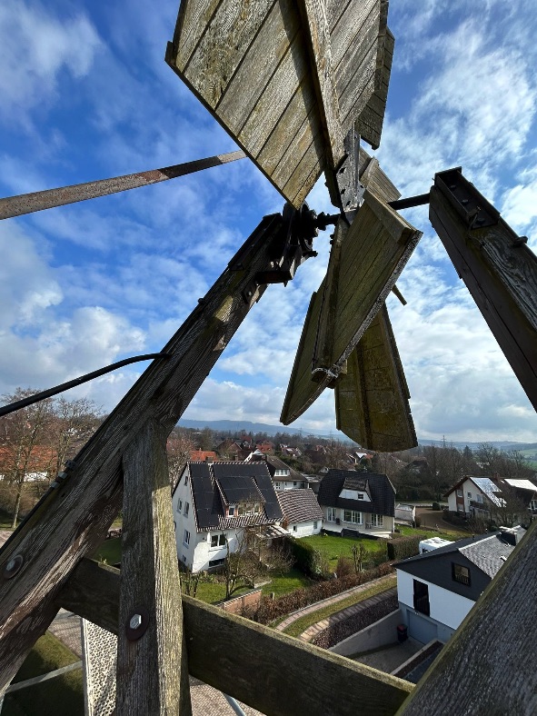 Blick von oben auf die Holzkonstruktion der Windrose
